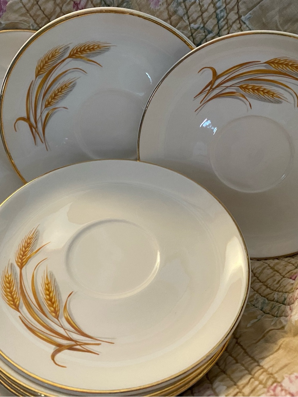 Homer Laughlin White Saucers with Gold Wheat Motif